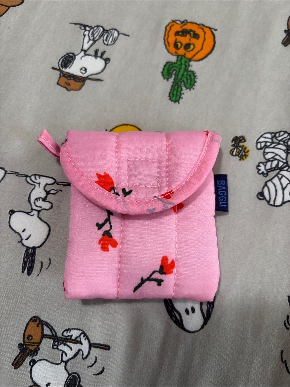 Baggu earbud case